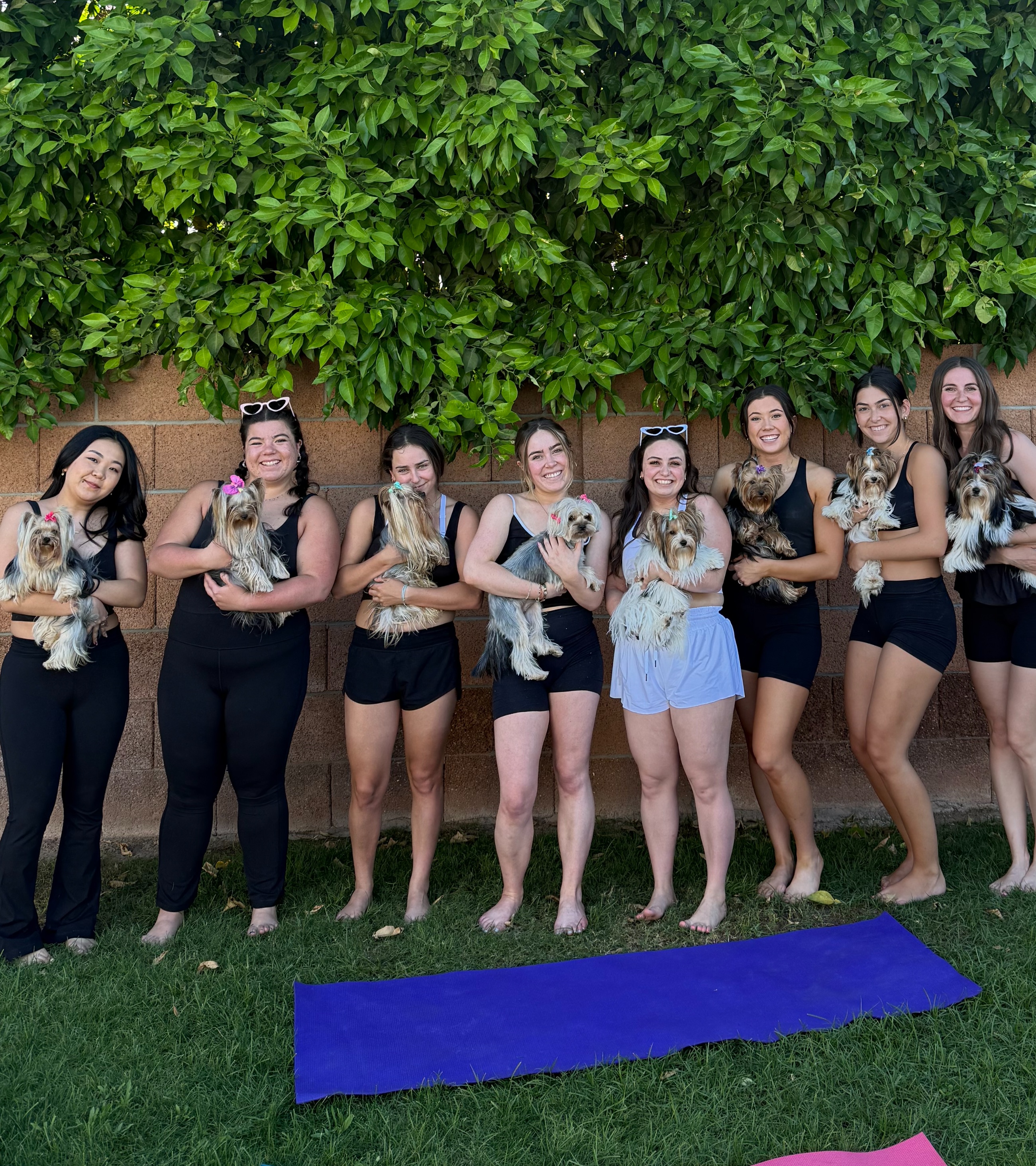 Wag & Flow (Puppy Yoga) — moment 1