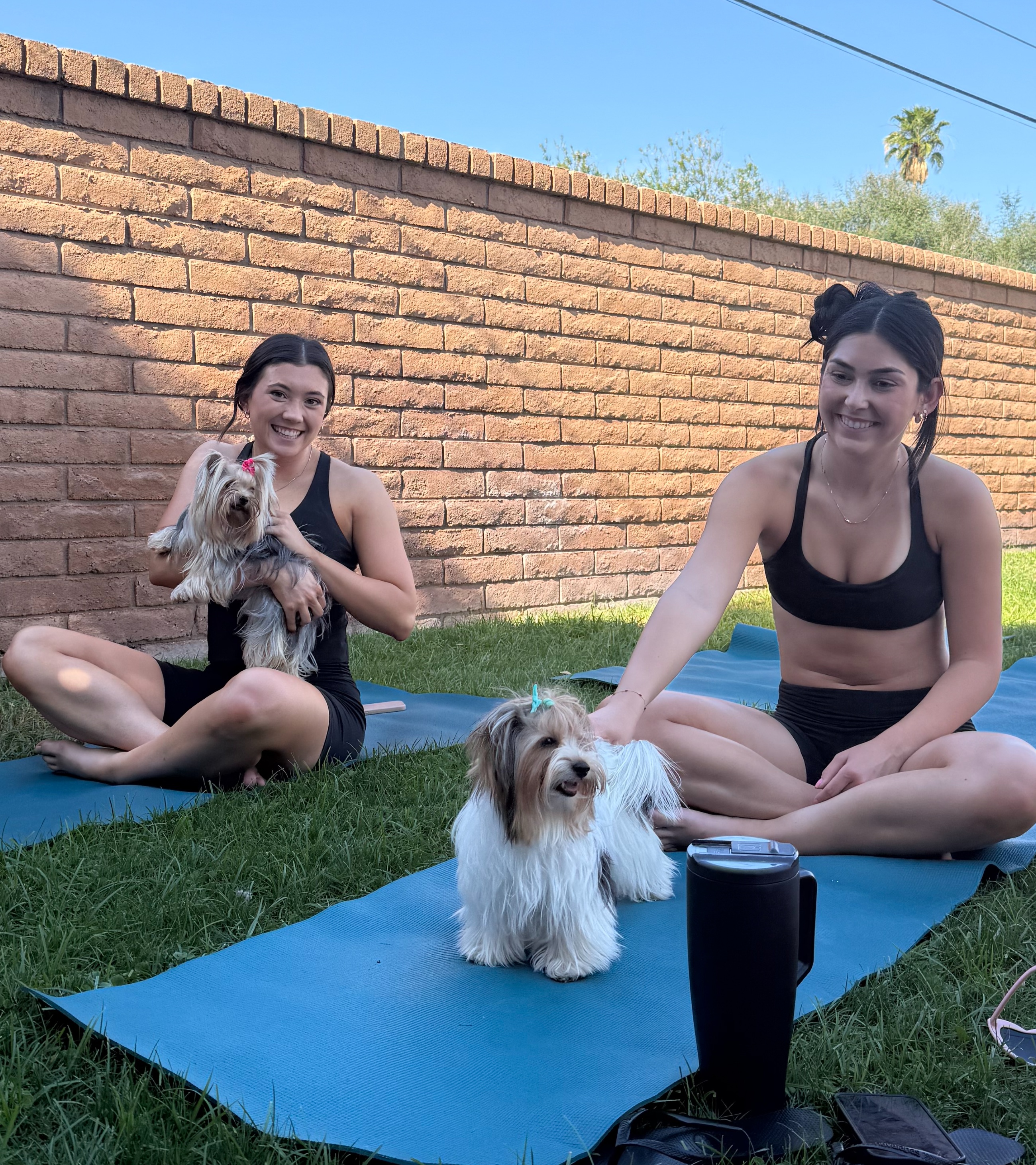 Wag & Flow (Puppy Yoga) — moment 2