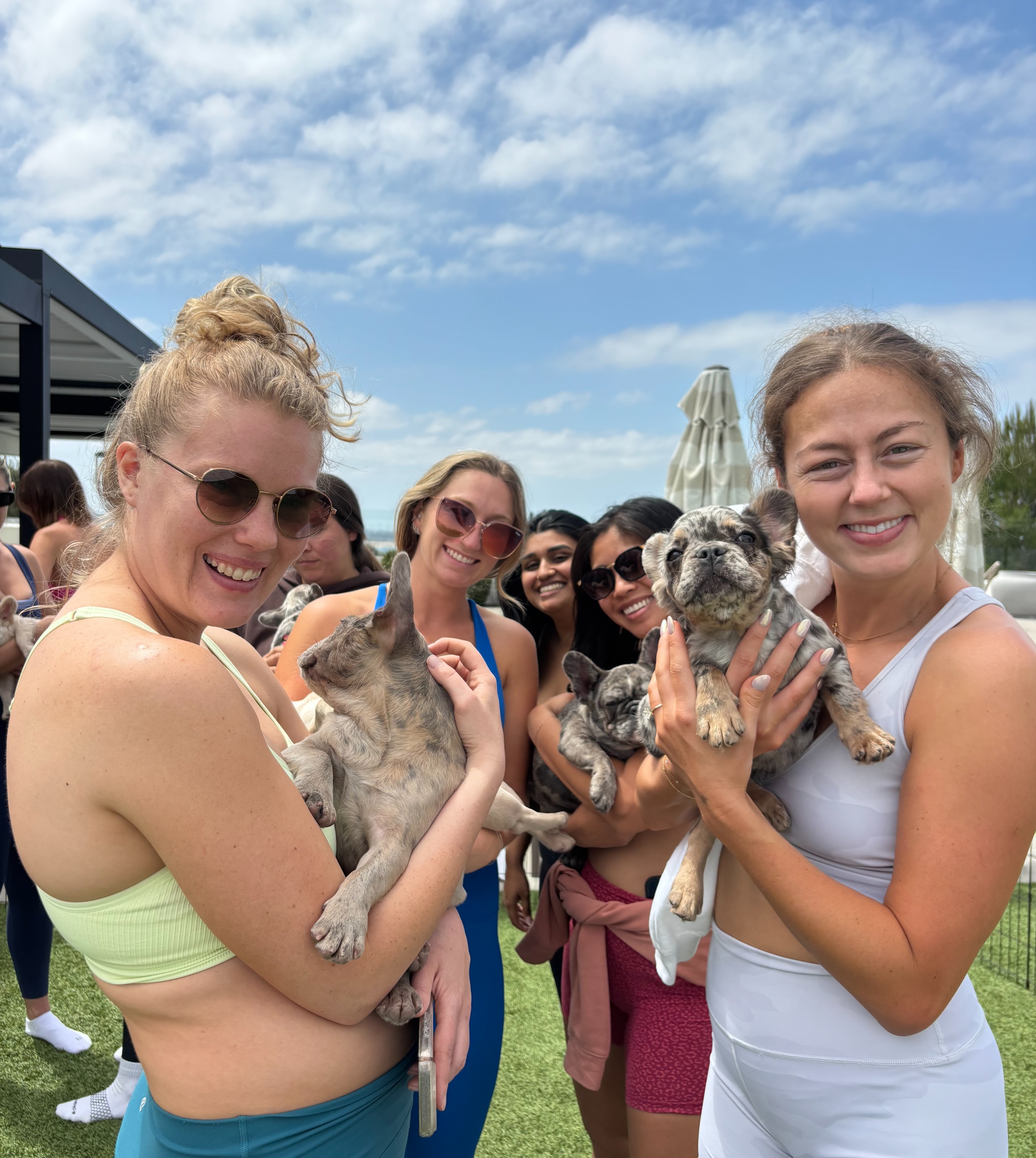 Wag & Flow (Puppy Yoga) — moment 3